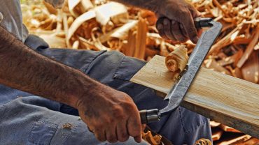 FAO pide mejorar productividad forestal ante futuro aumento demanda de madera