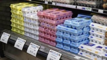 «Con el grito al cielo»: el precio de los huevos aumenta un 100 % en EE.UU.
