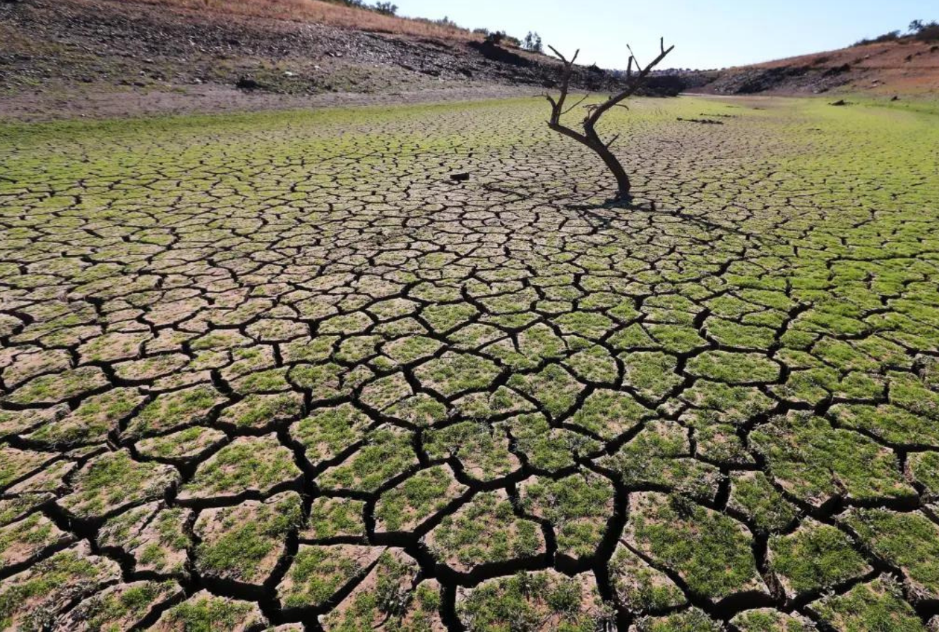 El Banco Mundial pide a los países redireccionar subsidios para afrontar la crisis climática