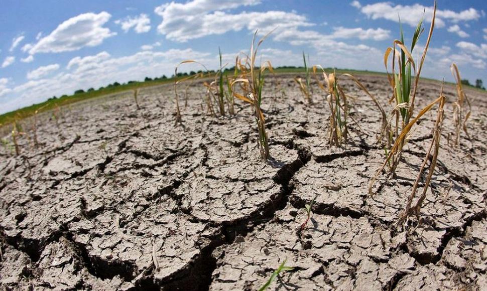 La FAO impulsa un plan para anticiparse a la consecuencias de El Niño en América Latina
