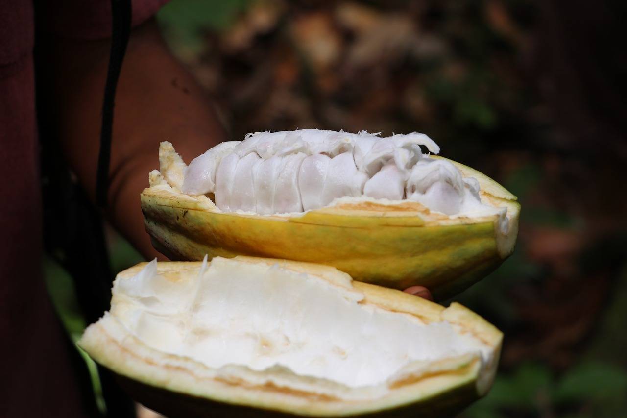 Cacao, chocolate y confitería totalizan ventas por RD$4,228 millones en 2022
